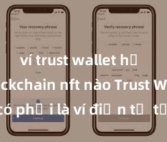 ví trust wallet hỗ trợ blockchain nft nào Trust Wallet có phải là ví điện tử tốt nhất tại Việt Nam không?